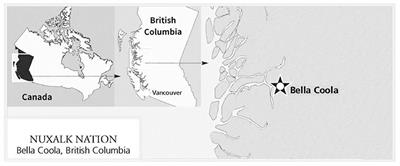 Why and How to Strengthen Indigenous Peoples' Food Systems With Examples From Two Unique Indigenous Communities